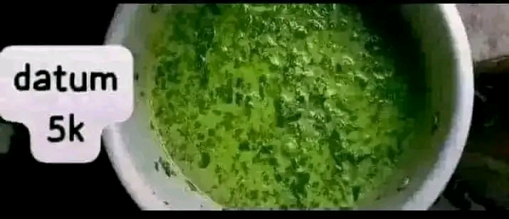 Daun ubi tumbuk