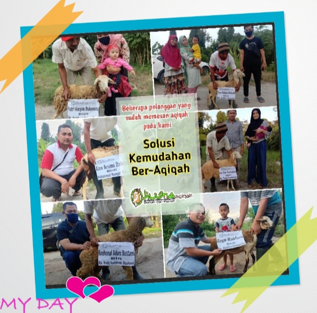 Paket kambing aqiqah mentah 